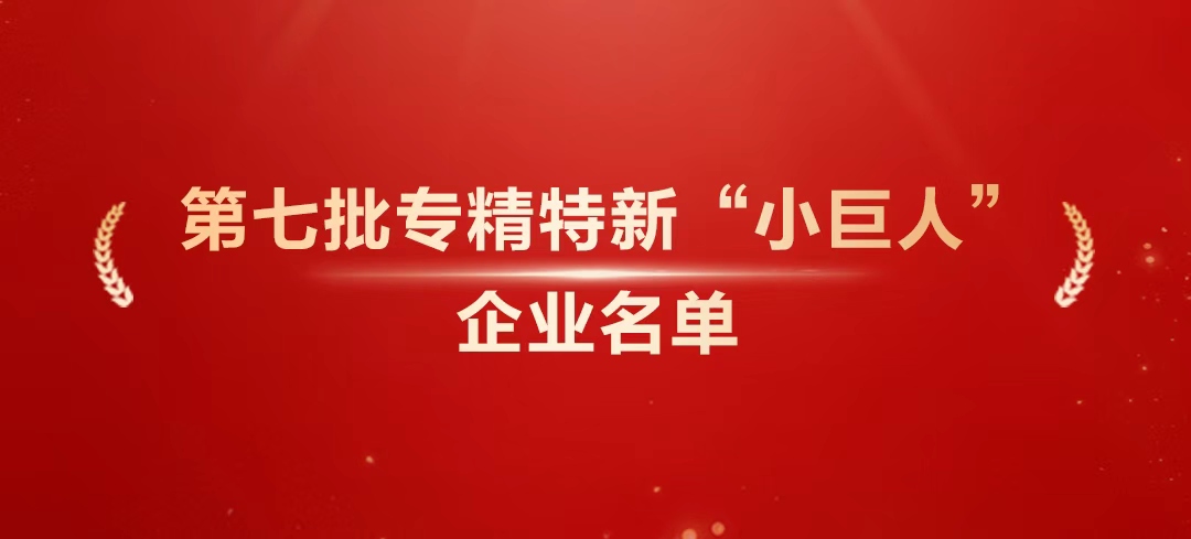 ʵ룡ӮVWINƼ5ҹҼר¡Сˡҵ